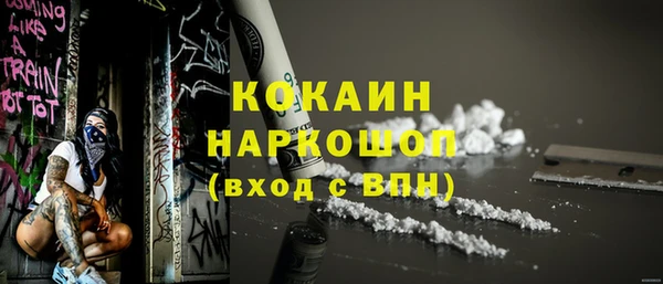 твердый Арсеньев