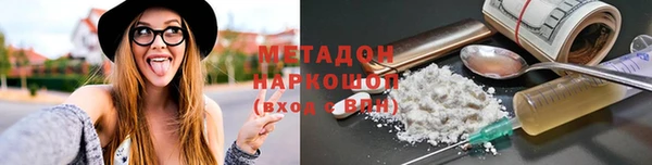 хмурый Аркадак