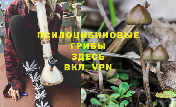 твердый Арсеньев