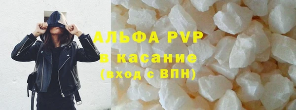 хмурый Аркадак