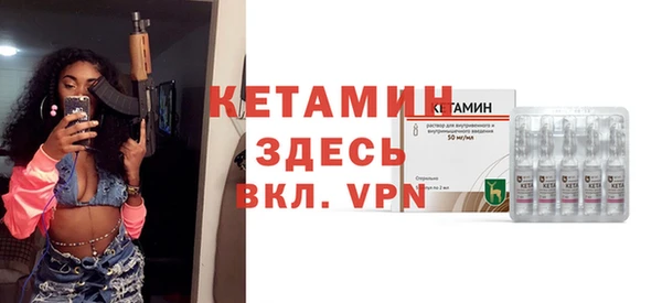 хмурый Аркадак
