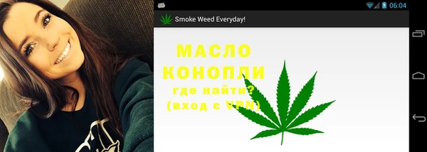 хмурый Аркадак