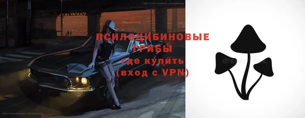 хмурый Аркадак