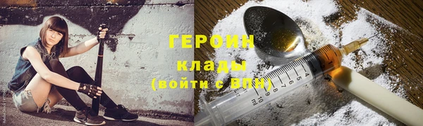 хмурый Аркадак
