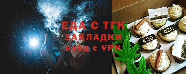 хмурый Аркадак