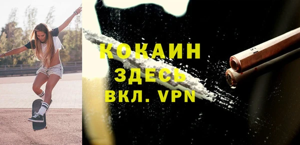 твердый Арсеньев