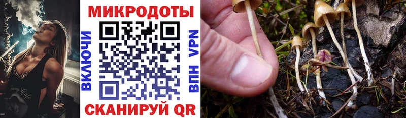 дарнет шоп  Струнино  Галлюциногенные грибы Cubensis 